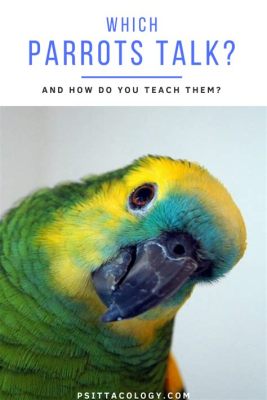 The Talking Parrot -  A Curious Tale About Friendship and Unexpected Consequences!